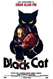 Watch Free The Black Cat (1981)