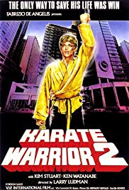 Watch Full Movie :Karate Warrior 2 (1988)