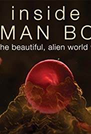 Watch Free Inside the Human Body (2011 )